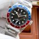 Tudor Black Bay GMT Pepsi Watch (2)_th.jpg